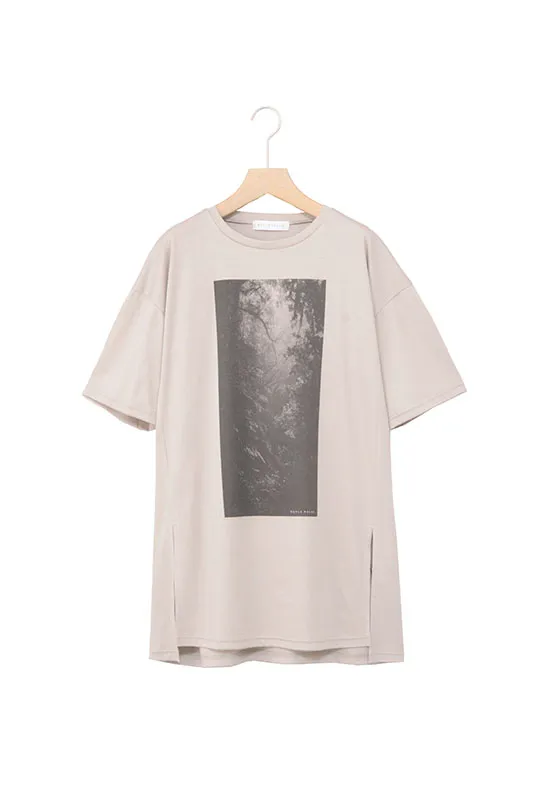入荷予定シワリー