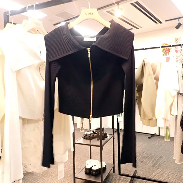 入荷予定コエル